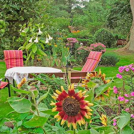 1 Bedroom In Lägenhet Muhl Rosin