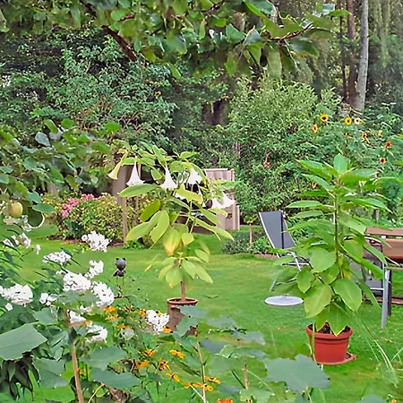 1 Bedroom In Lägenhet Muhl Rosin