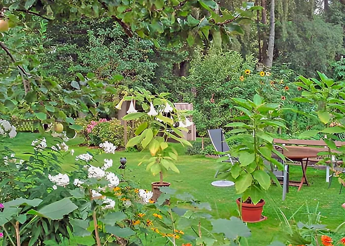 1 Bedroom In Apartament Muhl Rosin